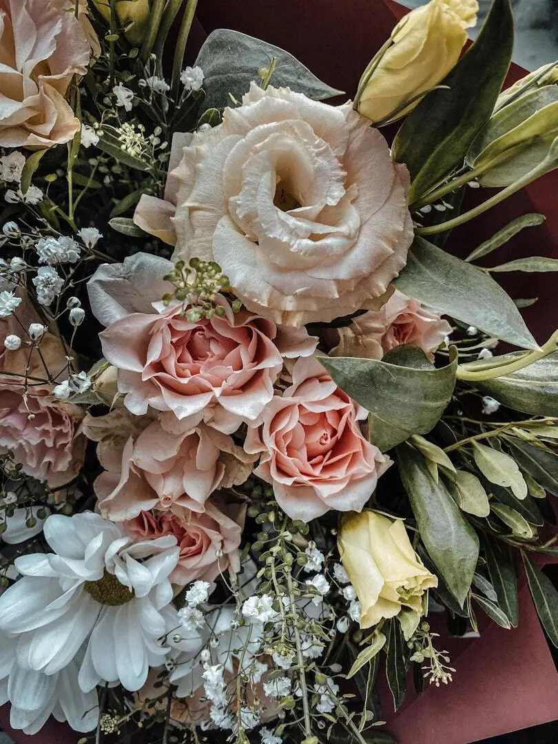 pink and white roses and white baby's breath flowers